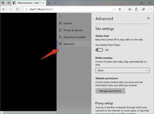 Как включить flash player в microsoft edge