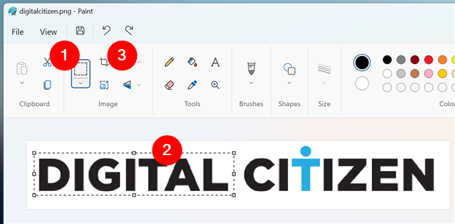 Как выбрать и обрезать изображение в Paint в Windows 11