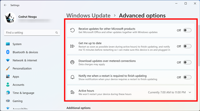 Другие элементы управления обновлениями Windows 11