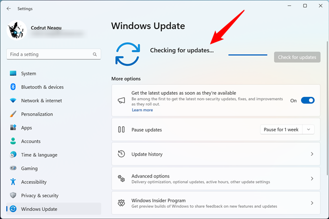 Windows 11 проверяет наличие обновлений