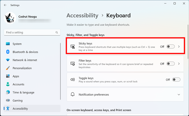 Запись Sticky Keys в специальных возможностях Windows 11