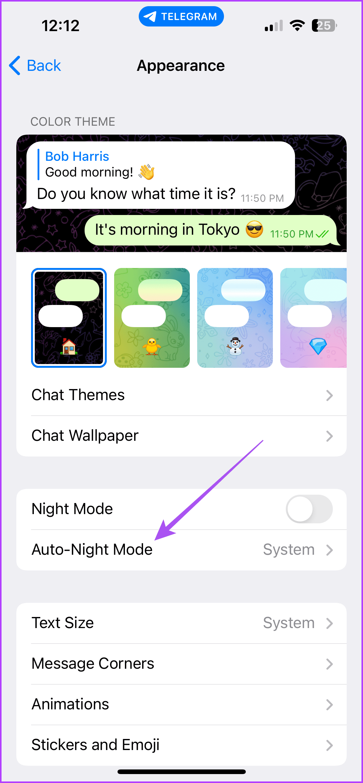 автоматический ночной режим настройки Telegram iPhone