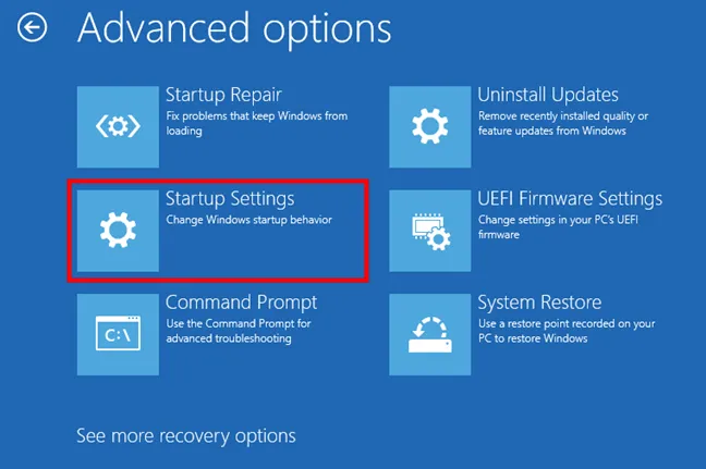 Введите параметры запуска в среде восстановления Windows 11.