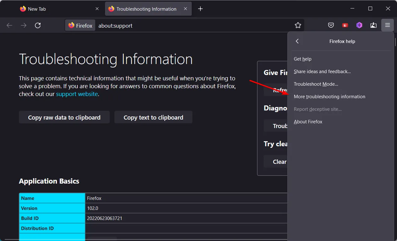 more-troubleshooting-firefox firefox зависает windows 11