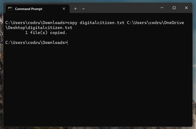 CMD может выполнять все обычные задачи по управлению файлами в Windows.