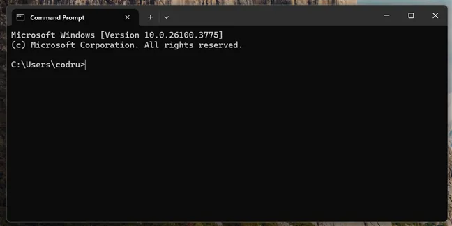 Командная строка в Windows 11