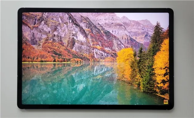 Цветопередача хорошая, но не на уровне OLED