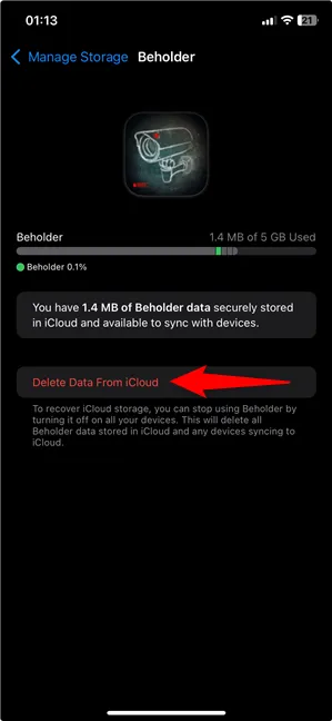 Удалить данные из iCloud для приложения, настройки которого вы сбрасываете
