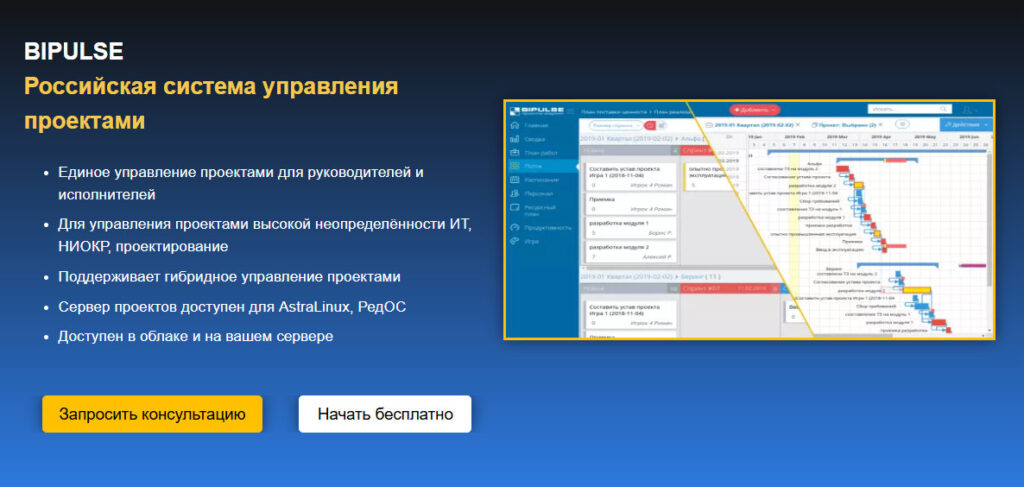 российская система управления проектами BIPULSE